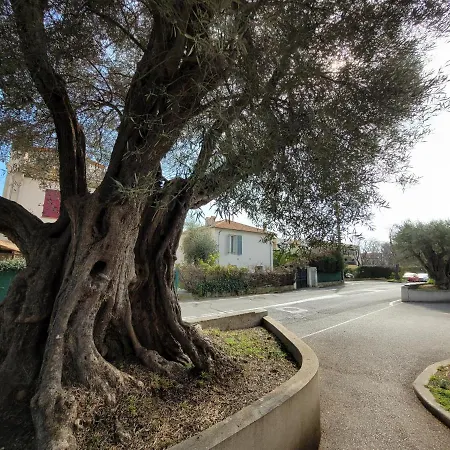 La Desiree - De Villa, 68m2, 8 Personnes Max, Climatise, 4 Etoiles, 120m2 De Jardin Et Parking, Wifi, Vu Holiday home *